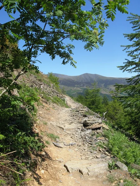 Um caminho coberto de rocha ou trilha no lado de uma montanha — Fotografia de Stock