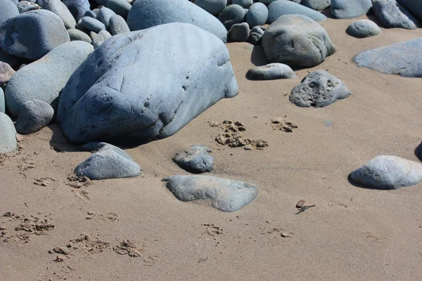 Stenar på en sandstrand textur bakgrund — Stockfoto