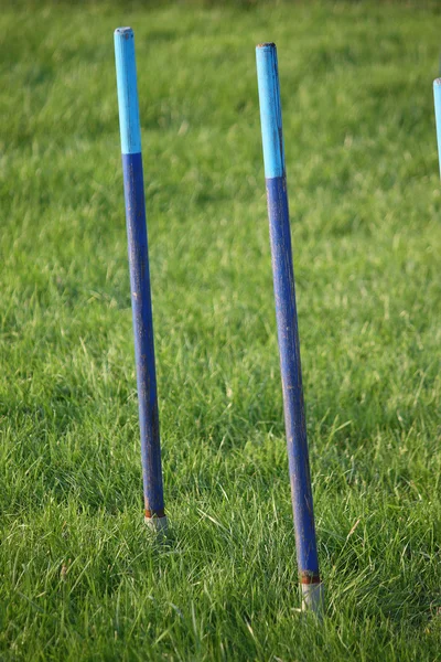 Blue agility weben stange ausrüstung für hundesport — Stockfoto