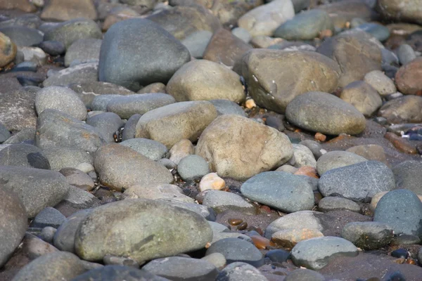 Pietre e rocce su uno sfondo di spiaggia sabbiosa — Foto Stock