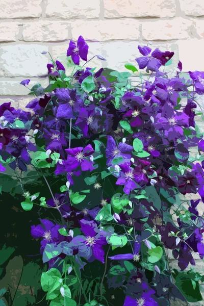 Hermosas flores púrpuras azules — Foto de Stock