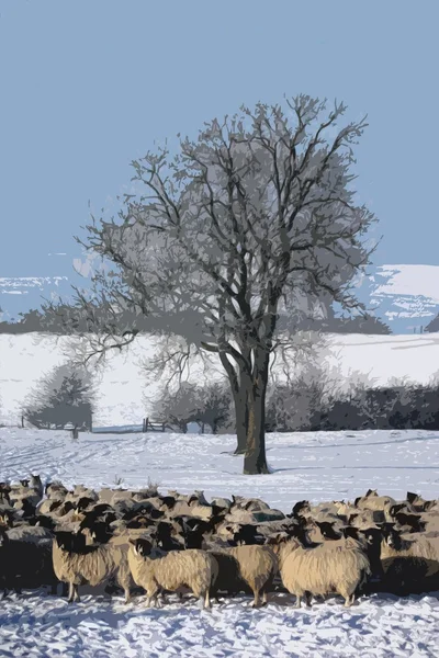 Får under et tre om vinteren snø – stockfoto