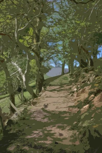 Bomen voering van een bos pad — Stockfoto