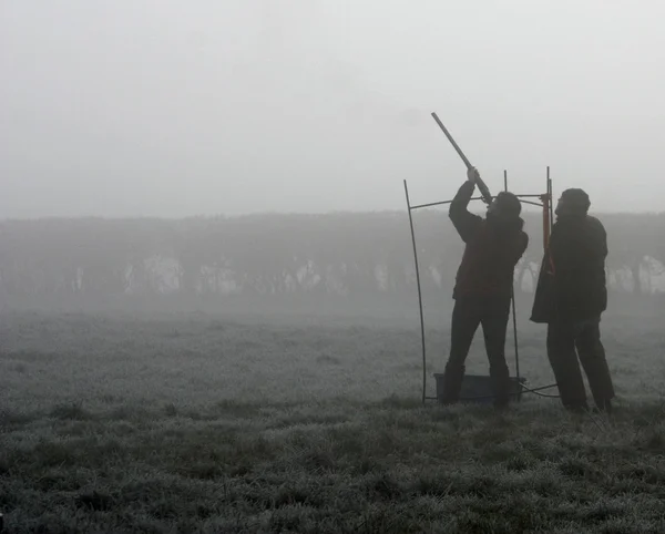 Kil güvercin sisli bir günde çekim