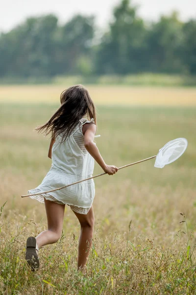 Menina com rede de borboleta e um vestido branco Imagens De Bancos De Imagens Sem Royalties