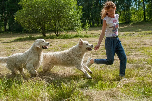 Jente med hund – stockfoto