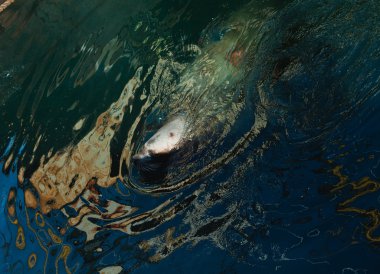 bir köpekle oynamayı Çift