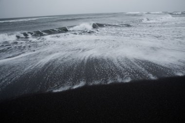 Kamçatka Pasifik Sahil