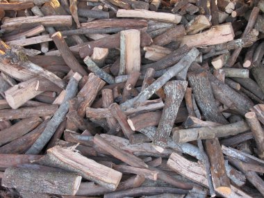 yakacak odun kütükleri