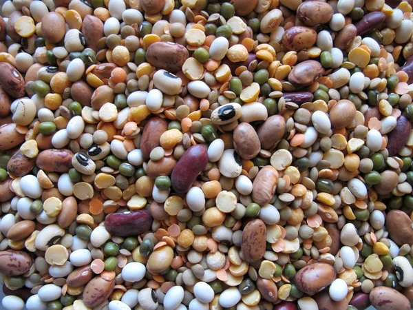 Mistura de produtos hortícolas secos — Fotografia de Stock