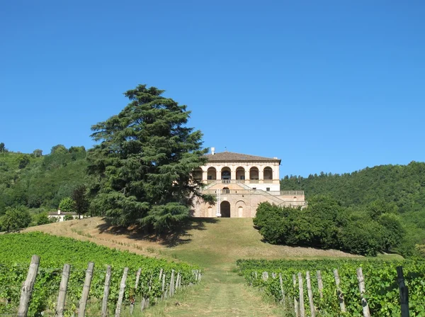 Villa dei Vescovi — Φωτογραφία Αρχείου