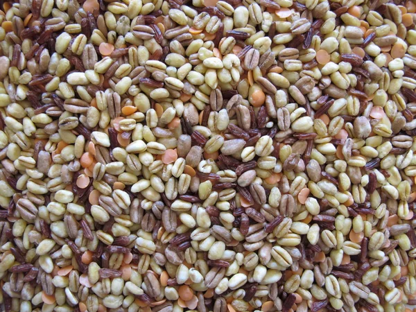 Mistura de cereais e lentilhas — Fotografia de Stock