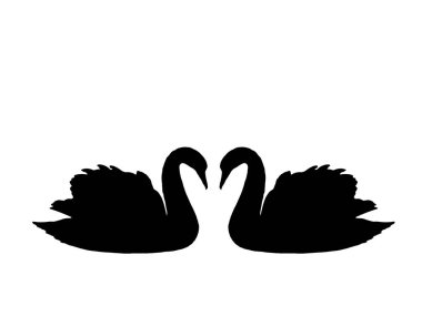 Aşık kuğular, siluet