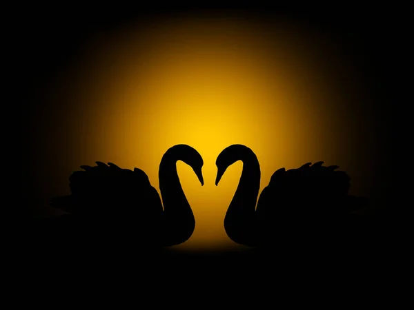 Swans Love Silhouette — Stock Photo, Image