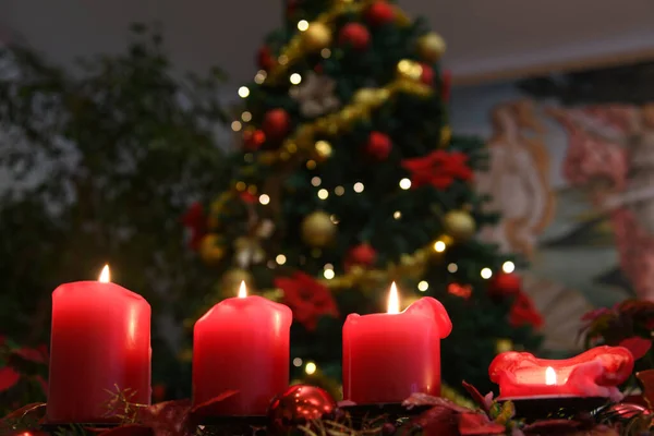 Weihnachten Kerzen Flammen Rot Blumen Mit Beleuchtetem Baum Zum Hintergrund — Stockfoto