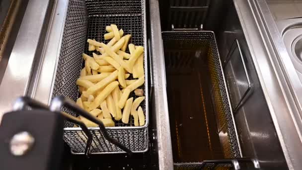 Fried Potatoes Fryer Food Restaurant — Stock Video