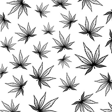 Esrar, marihuana, ot, dondurucu yasal sağlıklı arka plan