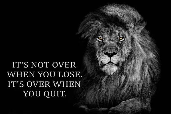Inspirational Motivational quote , it\'s not over when you lose it\'s over when you quit, lion