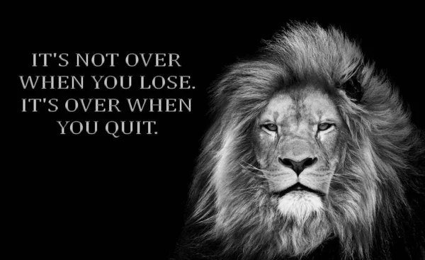 Inspirational Motivational Quote You Lose You Quit Lion — Stock Photo, Image