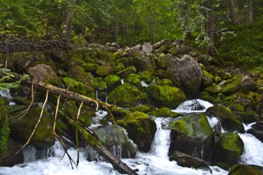 Pireneler 'deki Nehirde Şelale