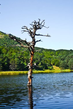 Katalonya 'nın pirenelerinde göl