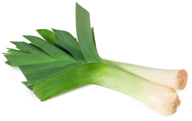 Pırasa beyaz arka planda izole edilmiş. Kırpma yolu ile. tam alan derinliği