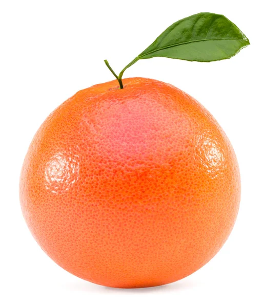 Grapefruit Isoliert Auf Weißem Hintergrund Volle Schärfentiefe Schneidpfad — Stockfoto