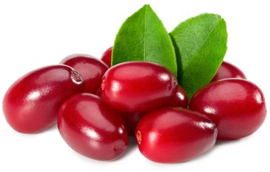 Beyaz arka planda yeşil yapraklı kızılcık üzümü. Kesme yolu. tam alan derinliği