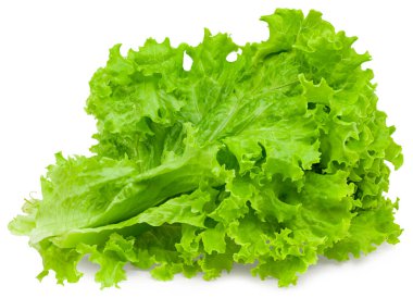 Beyaz arka planda izole edilmiş bir salata yaprağı. Tam alan derinliği. kırpma yolu