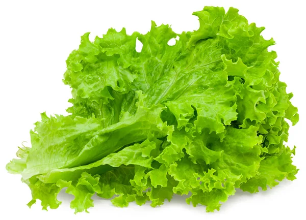 Une Feuille Salade Isolée Sur Fond Blanc Pleine Profondeur Champ — Photo