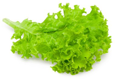 Beyaz arka planda izole edilmiş bir salata yaprağı. Tam alan derinliği. kırpma yolu