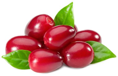 Beyaz arka planda yeşil yapraklı kızılcık üzümü. Kesme yolu. tam alan derinliği