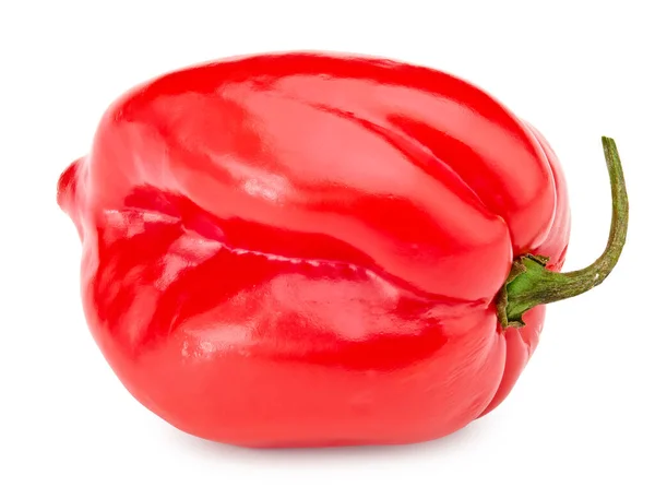 Habanero Chili Roter Paprika Isoliert Auf Weißem Hintergrund Schneidpfad — Stockfoto