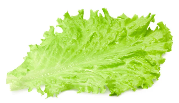 Hoja Ensalada Una Lechuga Verde Aislada Sobre Fondo Blanco Camino — Foto de Stock