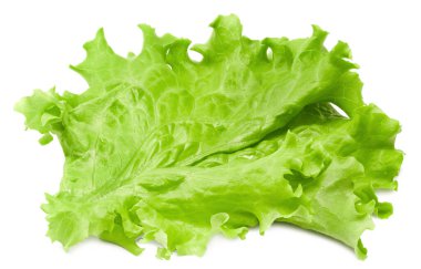 Salata yaprağı. Beyaz arka planda bir yeşil marul. kırpma yolu