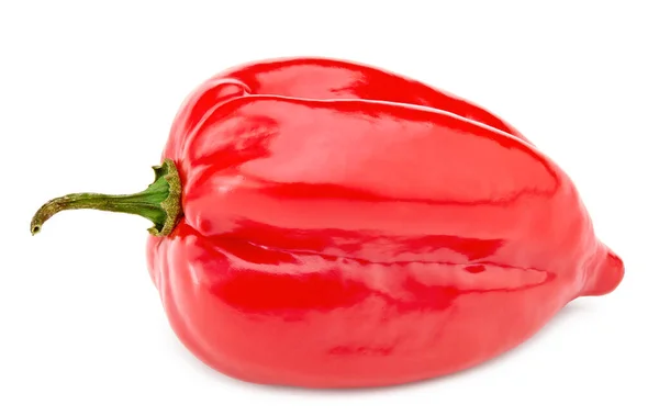 Habanero Chili Roter Paprika Isoliert Auf Weißem Hintergrund Schneidpfad — Stockfoto