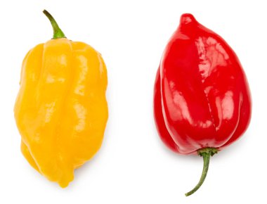Beyaz arka planda izole edilmiş sarı ve kırmızı habanero acı biber. kırpma yolu