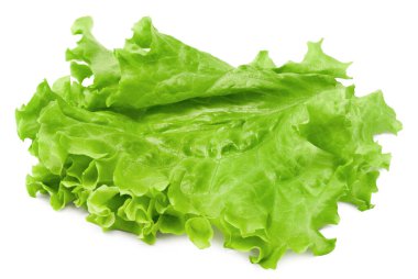 Beyaz arka planda izole edilmiş bir salata yaprağı. Tam alan derinliği. kırpma yolu