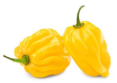 Beyaz arka planda Habanero kırmızı biberi var. kırpma yolu