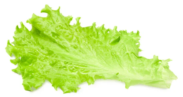 Salátalevél Egy Zöld Saláta Fehér Alapon Izolálva Nyírási Útvonal — Stock Fotó