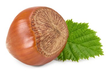 Yeşil yapraklı fındıklar beyaz arka plan makrosu üzerinde izole edilmiş. kırpma yolu