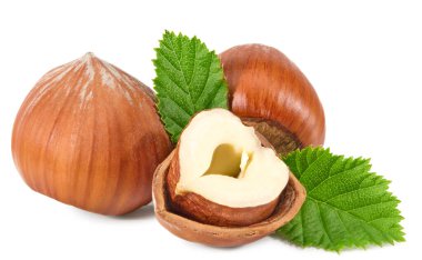 Yeşil yapraklı fındıklar beyaz arka plan makrosu üzerinde izole edilmiş. kırpma yolu