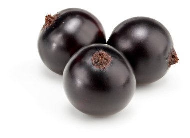 Beyaz arka planda siyah kuşüzümü izole edilmiş. Makro. kırpma yolu