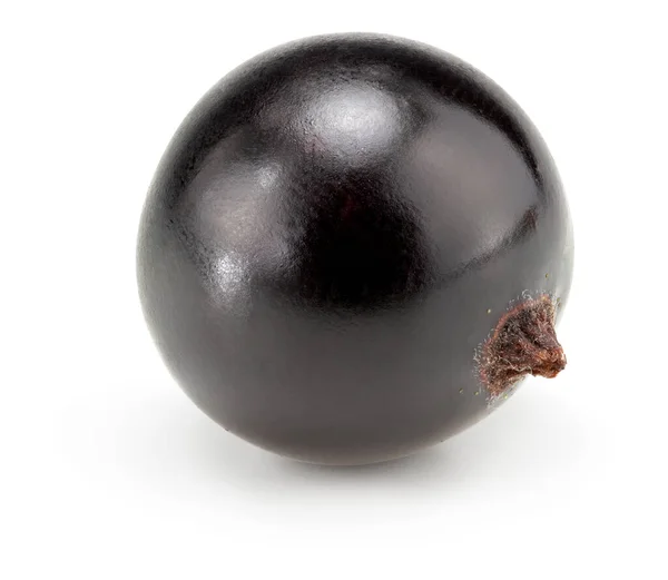 Schwarze Johannisbeere Isoliert Auf Weißem Hintergrund Makro Schneidpfad — Stockfoto