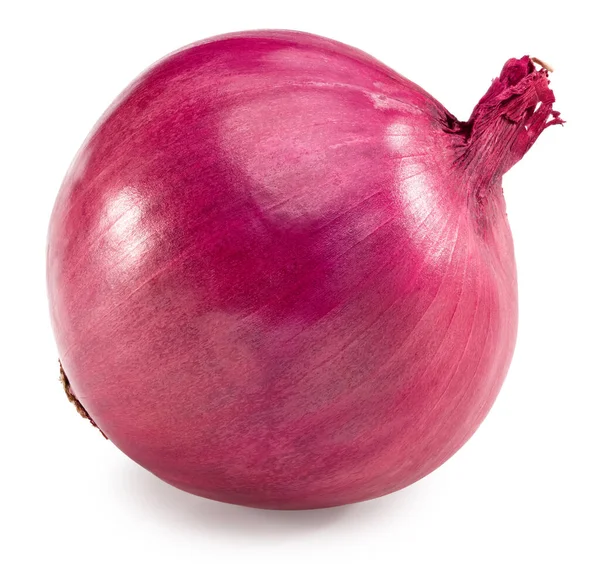 Red Onion Isolated White Background Full Depth Field Clipping Path — Stock Photo, Image