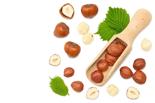 Hazelnuts Green Leaf Isolated White Background Macro Clipping Path Top — Stock Photo, Image