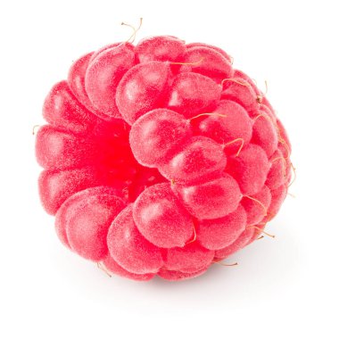 Beyaz arka planda izole edilmiş olgun bir ahududu. Makro. kırpma yolu