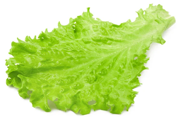 Saladeblad Eén Groene Sla Geïsoleerd Witte Achtergrond Knippad — Stockfoto