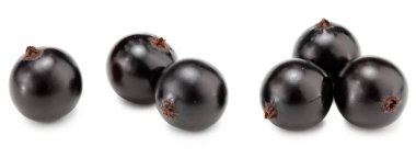 Beyaz arka planda siyah kuşüzümü izole edilmiş. Makro. kırpma yolu