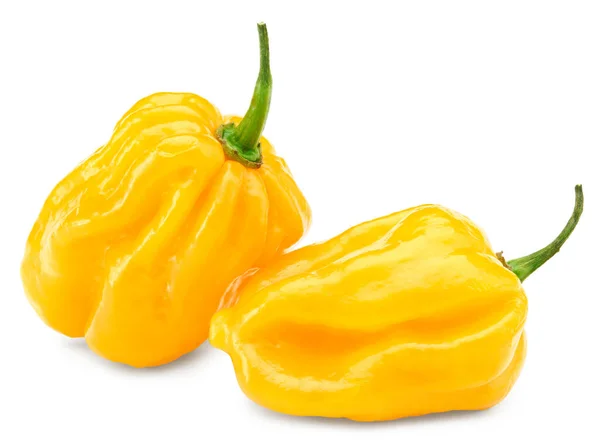 Habanero Chili Yellow Hot Pepper Isolated White Background Clipping Path — Stock Photo, Image